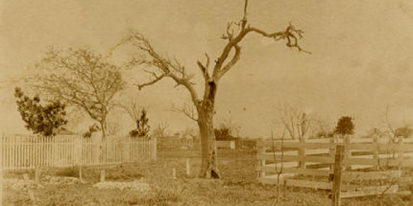 Matagorda Cemetery 1900s